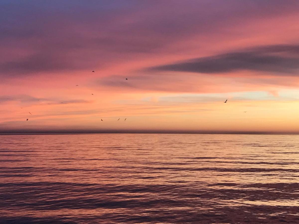 Гавань Hotell Sukhumi Exteriör bild